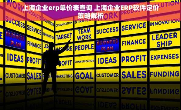 上海企业erp单价表查询 上海企业ERP软件定价策略解析