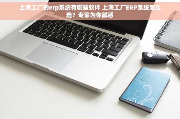 上海工厂的erp系统有哪些软件 上海工厂ERP系统怎么选？专家为你解惑