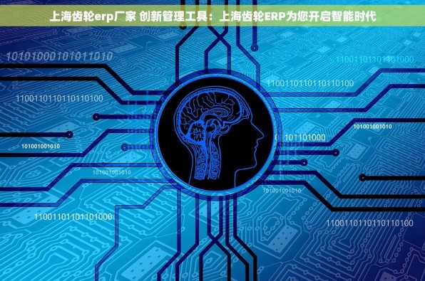 上海齿轮erp厂家 创新管理工具：上海齿轮ERP为您开启智能时代