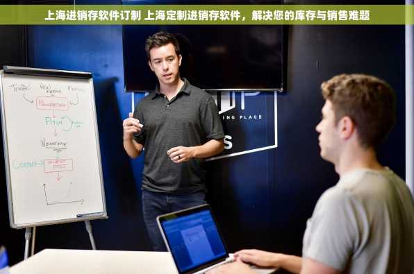 上海进销存软件订制 上海定制进销存软件，解决您的库存与销售难题