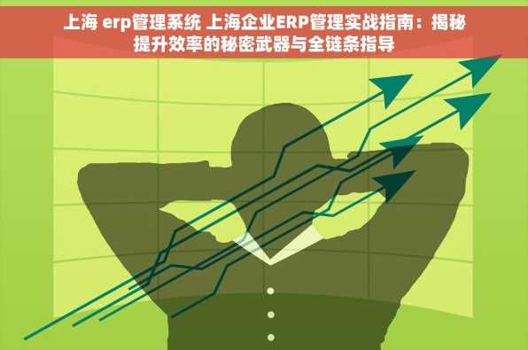上海 erp管理系统 上海企业ERP管理实战指南：揭秘提升效率的秘密武器与全链条指导