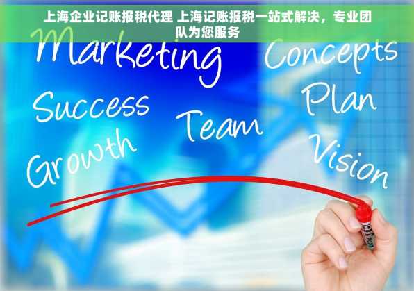 上海企业记账报税代理 上海记账报税一站式解决，专业团队为您服务