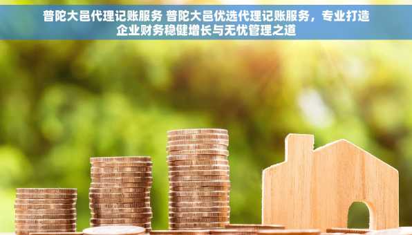 普陀大邑代理记账服务 普陀大邑优选代理记账服务，专业打造企业财务稳健增长与无忧管理之道