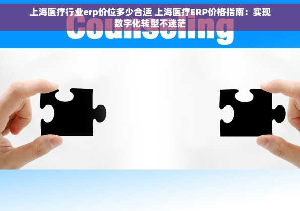 上海医疗行业erp价位多少合适 上海医疗ERP价格指南：实现数字化转型不迷茫