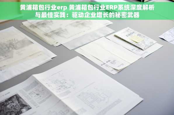 黄浦箱包行业erp 黄浦箱包行业ERP系统深度解析与最佳实践：驱动企业增长的秘密武器