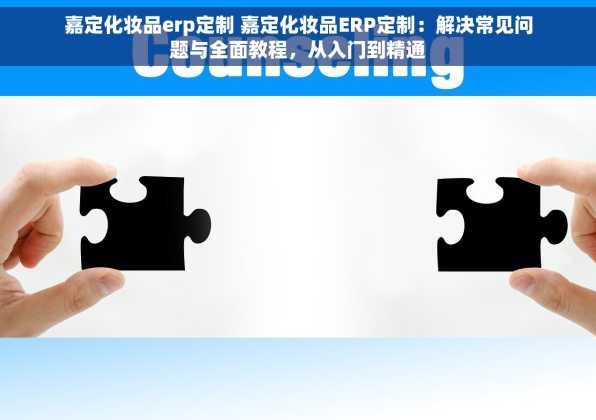 嘉定化妆品erp定制 嘉定化妆品ERP定制：解决常见问题与全面教程，从入门到精通
