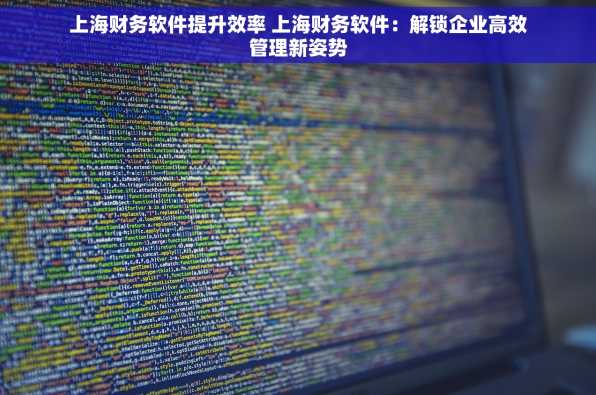 上海财务软件提升效率 上海财务软件：解锁企业高效管理新姿势