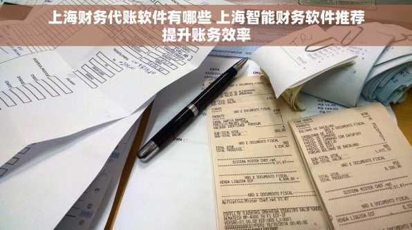 上海财务代账软件有哪些 上海智能财务软件推荐提升账务效率