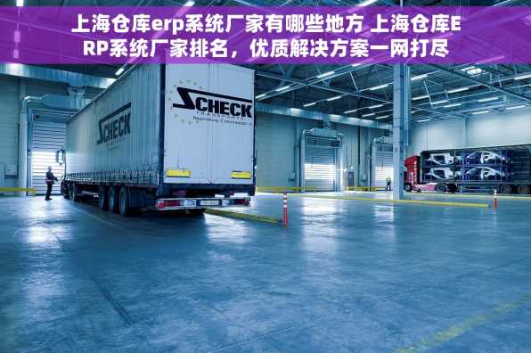 上海仓库erp系统厂家有哪些地方 上海仓库ERP系统厂家排名，优质解决方案一网打尽