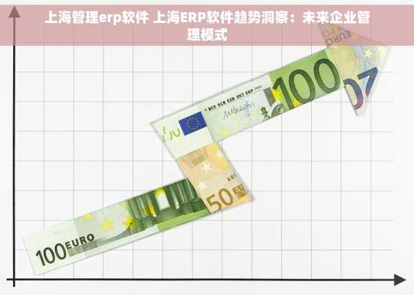上海管理erp软件 上海ERP软件趋势洞察：未来企业管理模式