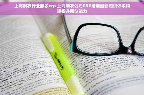 上海制衣行业服装erp 上海制衣公司ERP培训最新知识体系构建提升团队能力