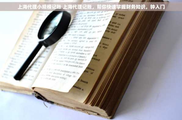 上海代理小规模记账 上海代理记账，帮你快速掌握财务知识，钟入门