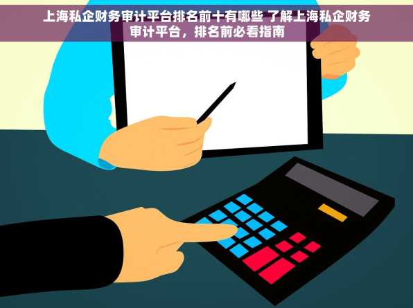 上海私企财务审计平台排名前十有哪些 了解上海私企财务审计平台，排名前必看指南