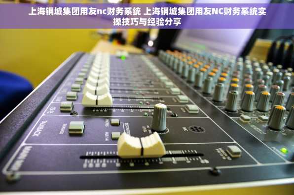 上海钢城集团用友nc财务系统 上海钢城集团用友NC财务系统实操技巧与经验分享