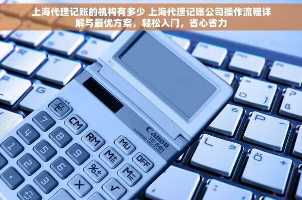 上海代理记账的机构有多少 上海代理记账公司操作流程详解与最优方案，轻松入门，省心省力