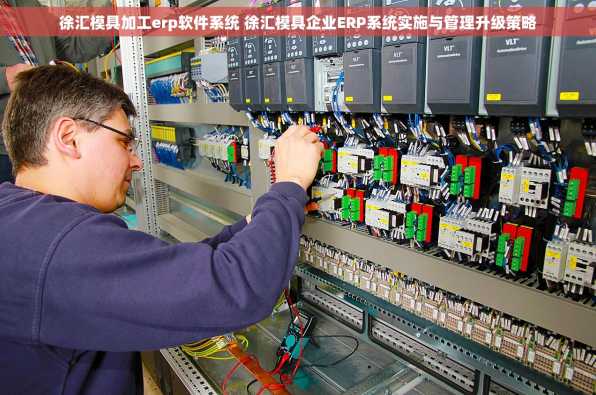 徐汇模具加工erp软件系统 徐汇模具企业ERP系统实施与管理升级策略