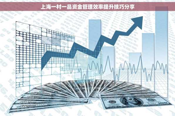 上海一村一品资金管理效率提升技巧分享