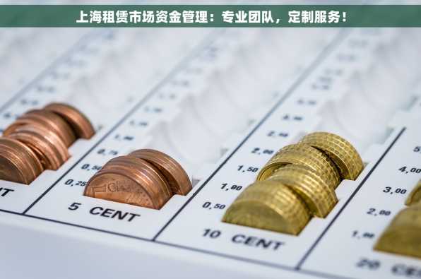 上海租赁市场资金管理：专业团队，定制服务！