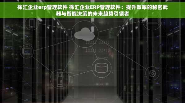 徐汇企业erp管理软件 徐汇企业ERP管理软件：提升效率的秘密武器与智能决策的未来趋势引领者