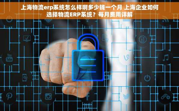 上海物流erp系统怎么样啊多少钱一个月 上海企业如何选择物流ERP系统？每月费用详解