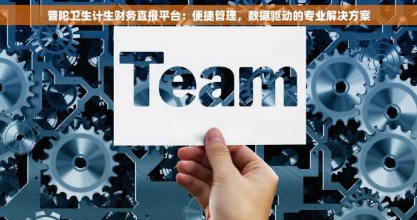 普陀卫生计生财务直报平台：便捷管理，数据驱动的专业解决方案