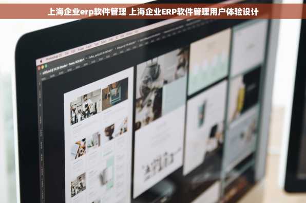 上海企业erp软件管理 上海企业ERP软件管理用户体验设计