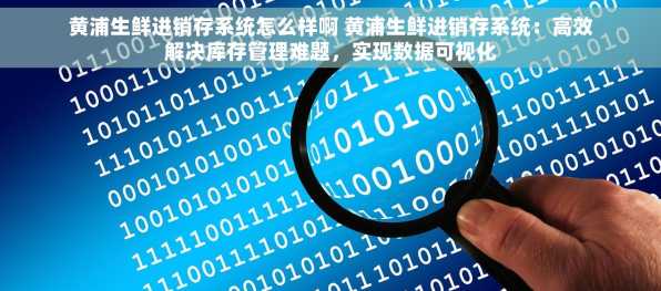 黄浦生鲜进销存系统怎么样啊 黄浦生鲜进销存系统：高效解决库存管理难题，实现数据可视化