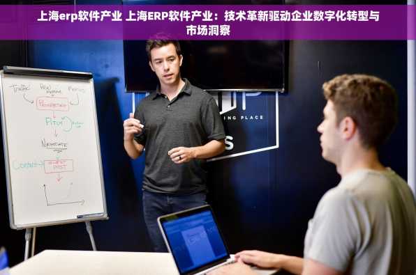 上海erp软件产业 上海ERP软件产业：技术革新驱动企业数字化转型与市场洞察