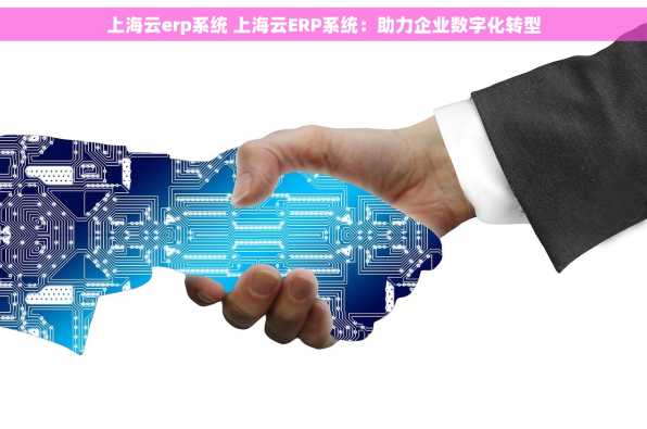 上海云erp系统 上海云ERP系统：助力企业数字化转型