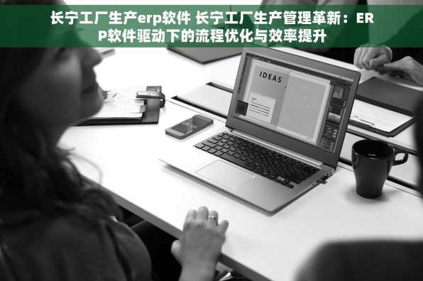 长宁工厂生产erp软件 长宁工厂生产管理革新：ERP软件驱动下的流程优化与效率提升