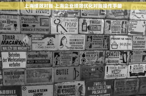 上海绩效对账 上海企业绩效优化对账操作手册