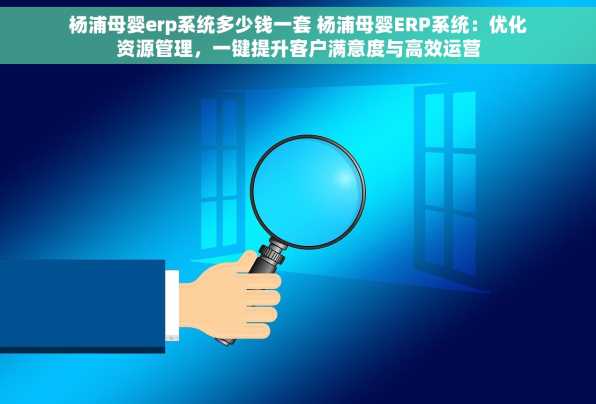 杨浦母婴erp系统多少钱一套 杨浦母婴ERP系统：优化资源管理，一键提升客户满意度与高效运营