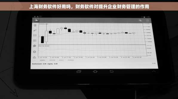 上海财务软件好用吗，财务软件对提升企业财务管理的作用