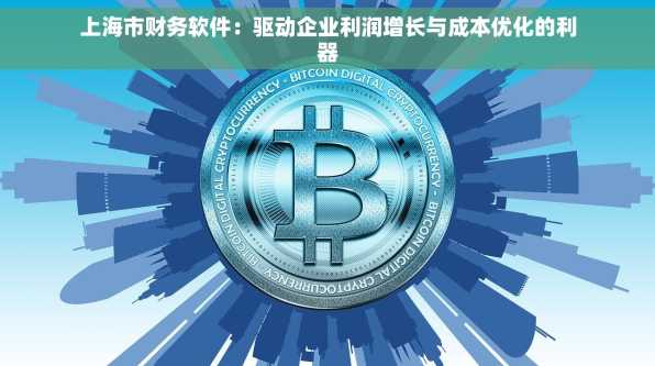 上海市财务软件：驱动企业利润增长与成本优化的利器