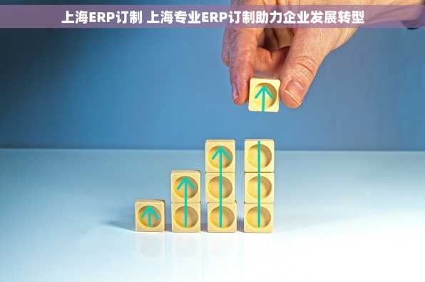 上海ERP订制 上海专业ERP订制助力企业发展转型