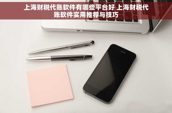上海财税代账软件有哪些平台好 上海财税代账软件实用推荐与技巧