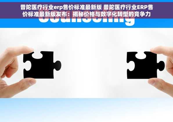 普陀医疗行业erp售价标准最新版 普陀医疗行业ERP售价标准最新版发布：揭秘价格与数字化转型的竞争力