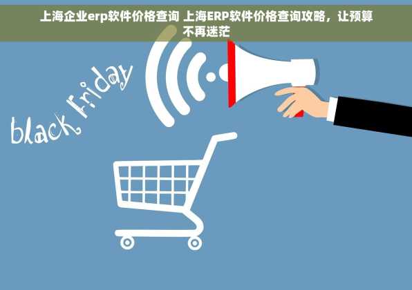 上海企业erp软件价格查询 上海ERP软件价格查询攻略，让预算不再迷茫