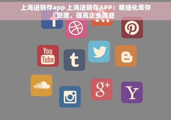 上海进销存app 上海进销存APP：精细化库存管理，提高企业效益