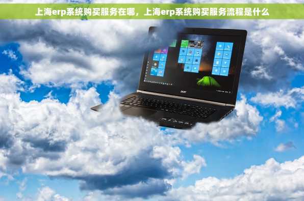 上海erp系统购买服务在哪，上海erp系统购买服务流程是什么