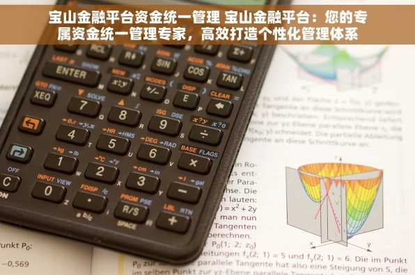 宝山金融平台资金统一管理 宝山金融平台：您的专属资金统一管理专家，高效打造个性化管理体系