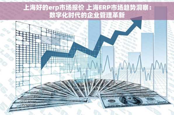 上海好的erp市场报价 上海ERP市场趋势洞察：数字化时代的企业管理革新