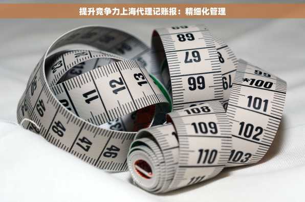 提升竞争力上海代理记账报：精细化管理