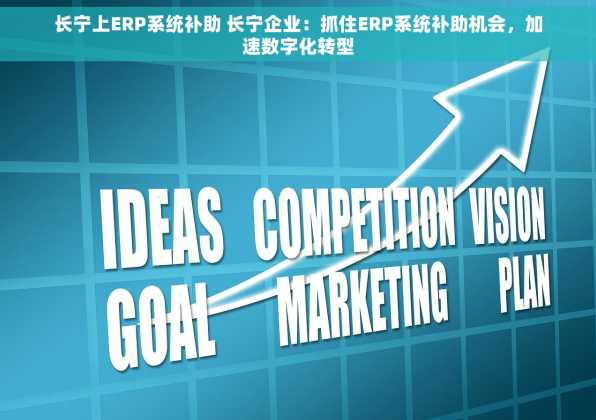 长宁上ERP系统补助 长宁企业：抓住ERP系统补助机会，加速数字化转型