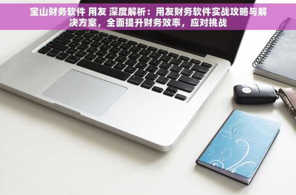 宝山财务软件 用友 深度解析：用友财务软件实战攻略与解决方案，全面提升财务效率，应对挑战