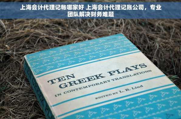 上海会计代理记帐哪家好 上海会计代理记账公司，专业团队解决财务难题