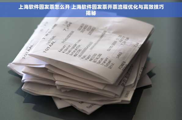 上海软件园发票怎么开 上海软件园发票开票流程优化与高效技巧揭秘