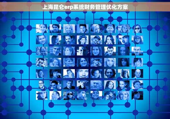 上海昆仑erp系统财务管理优化方案
