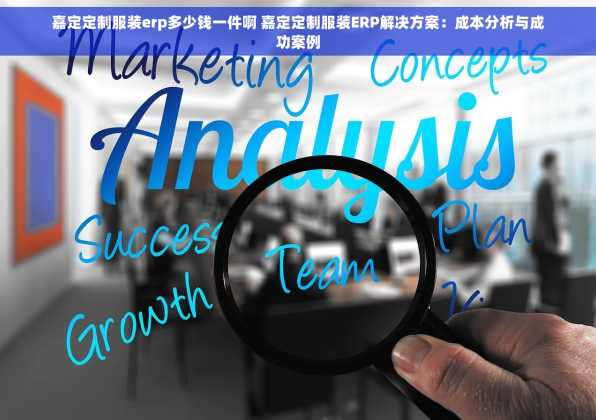 嘉定定制服装erp多少钱一件啊 嘉定定制服装ERP解决方案：成本分析与成功案例