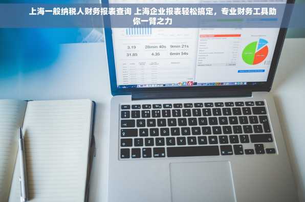 上海一般纳税人财务报表查询 上海企业报表轻松搞定，专业财务工具助你一臂之力